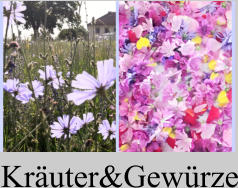 Kräuter&Gewürze